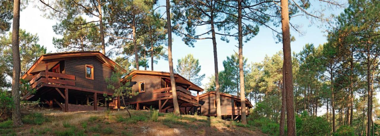 Residence Les Sentes Carcans Exterior foto